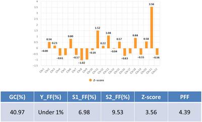 Inconsistency between non-invasive prenatal testing (NIPT) and conventional prenatal diagnosis due to confined placental and fetal mosaicism: Two case reports